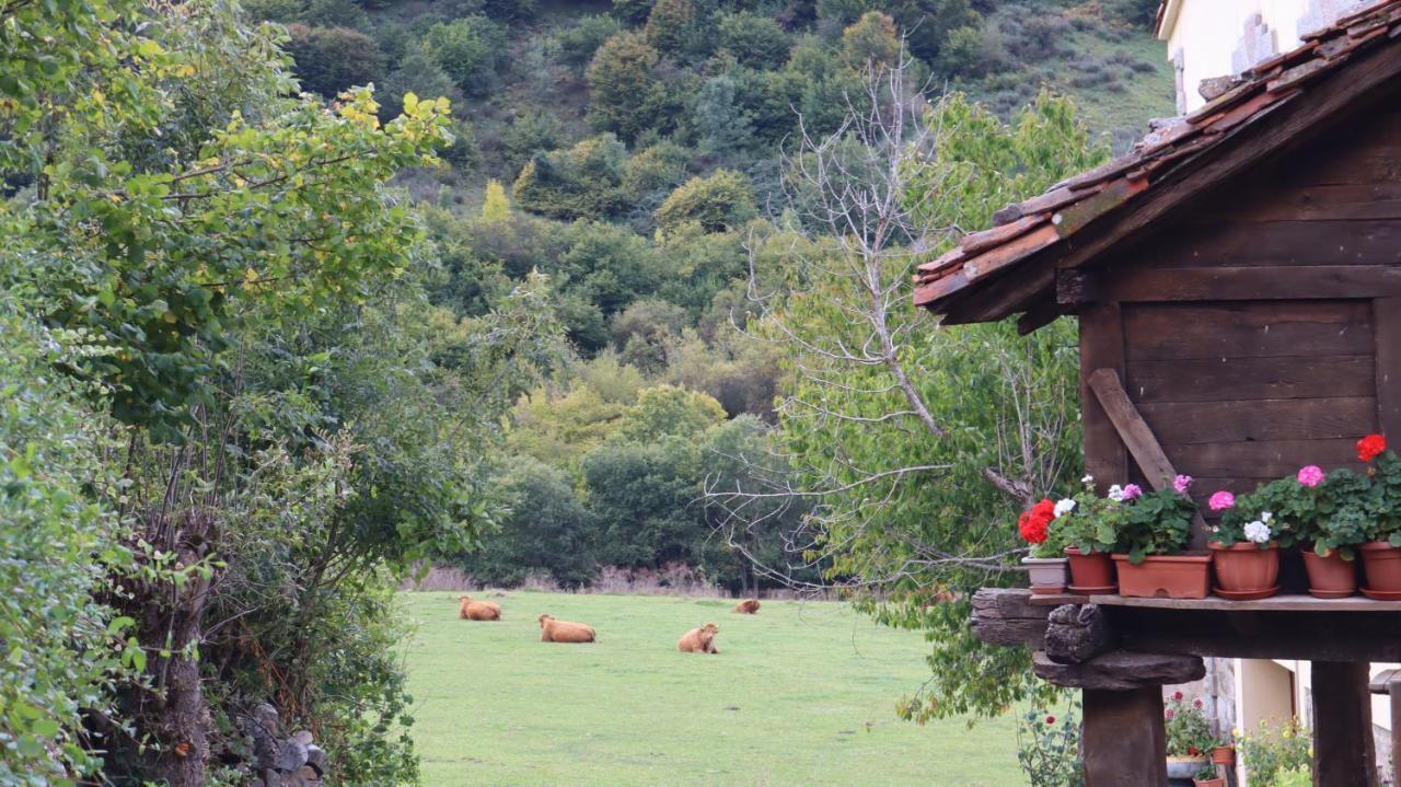 Casa Rural Cares Santa Maria de Valdeon Buitenkant foto